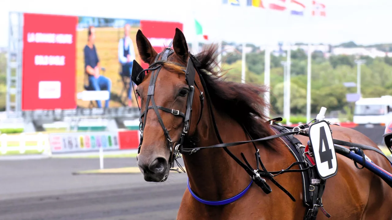 Pronostic Quinté du jeudi 27 novembre 2025