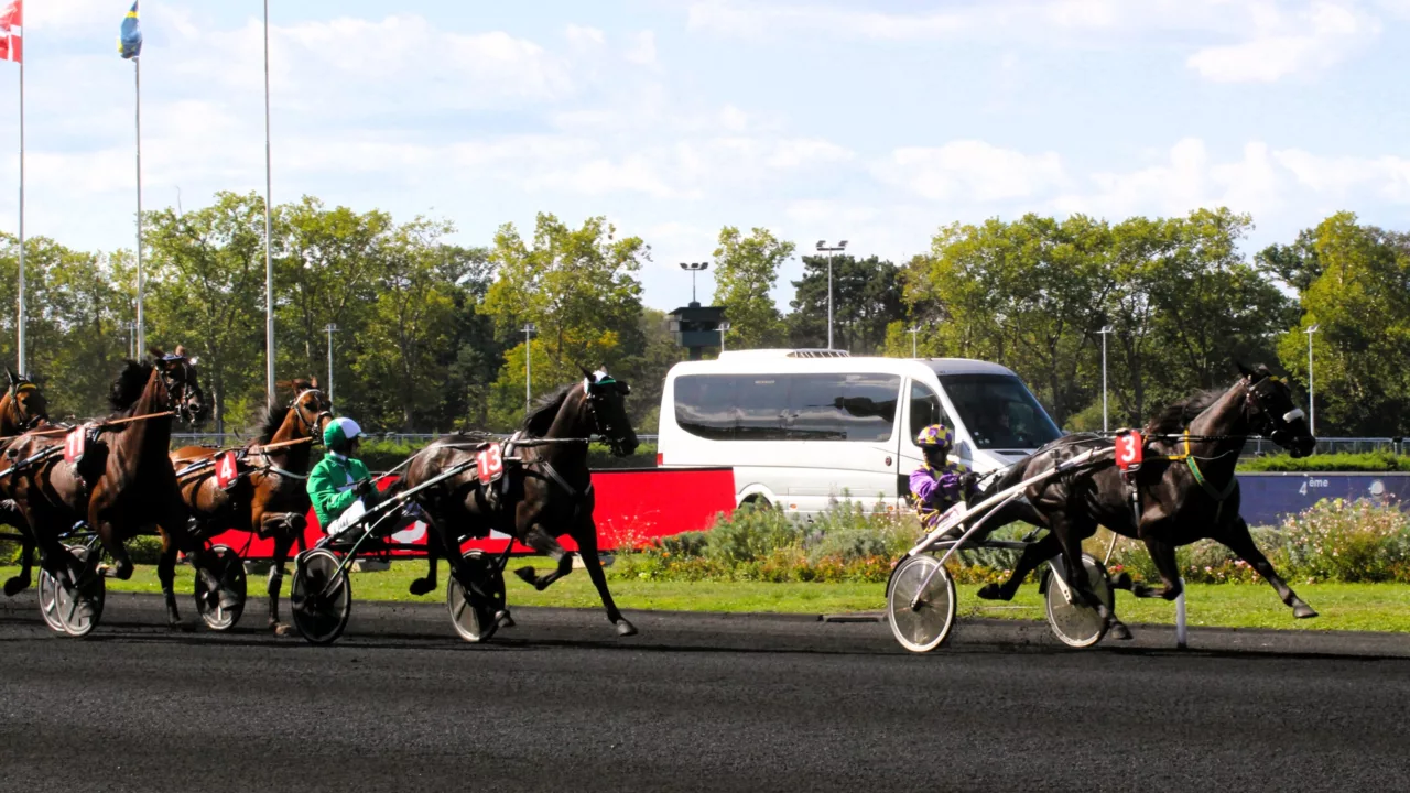 Pronostic Quinté du mercredi 19 novembre 2025