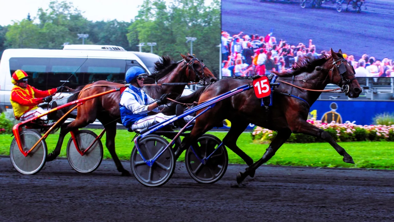 Pronostic Quinté du mercredi 3 décembre 2025