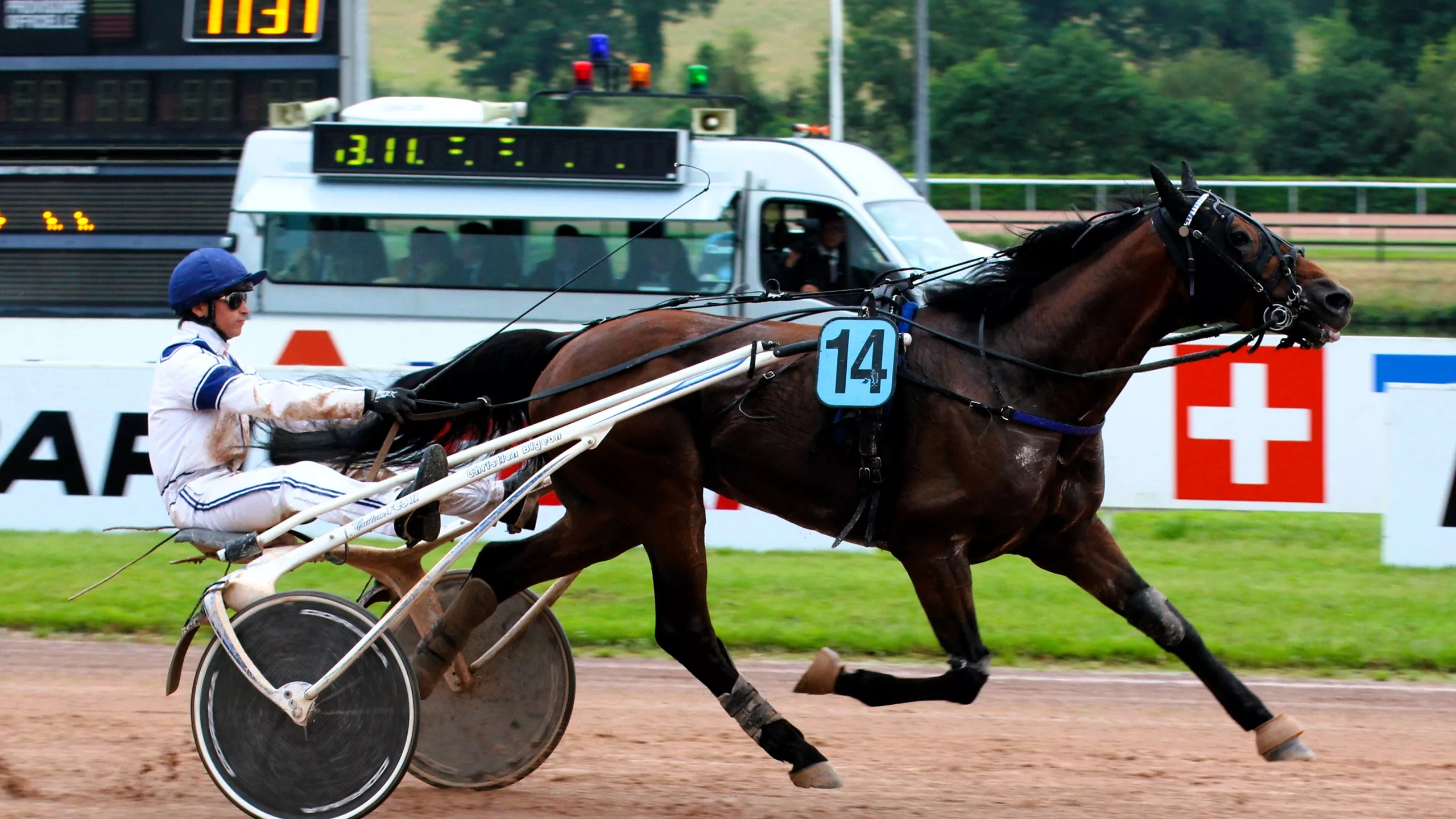 Pronostic Quinté du mercredi 5 novembre 2025