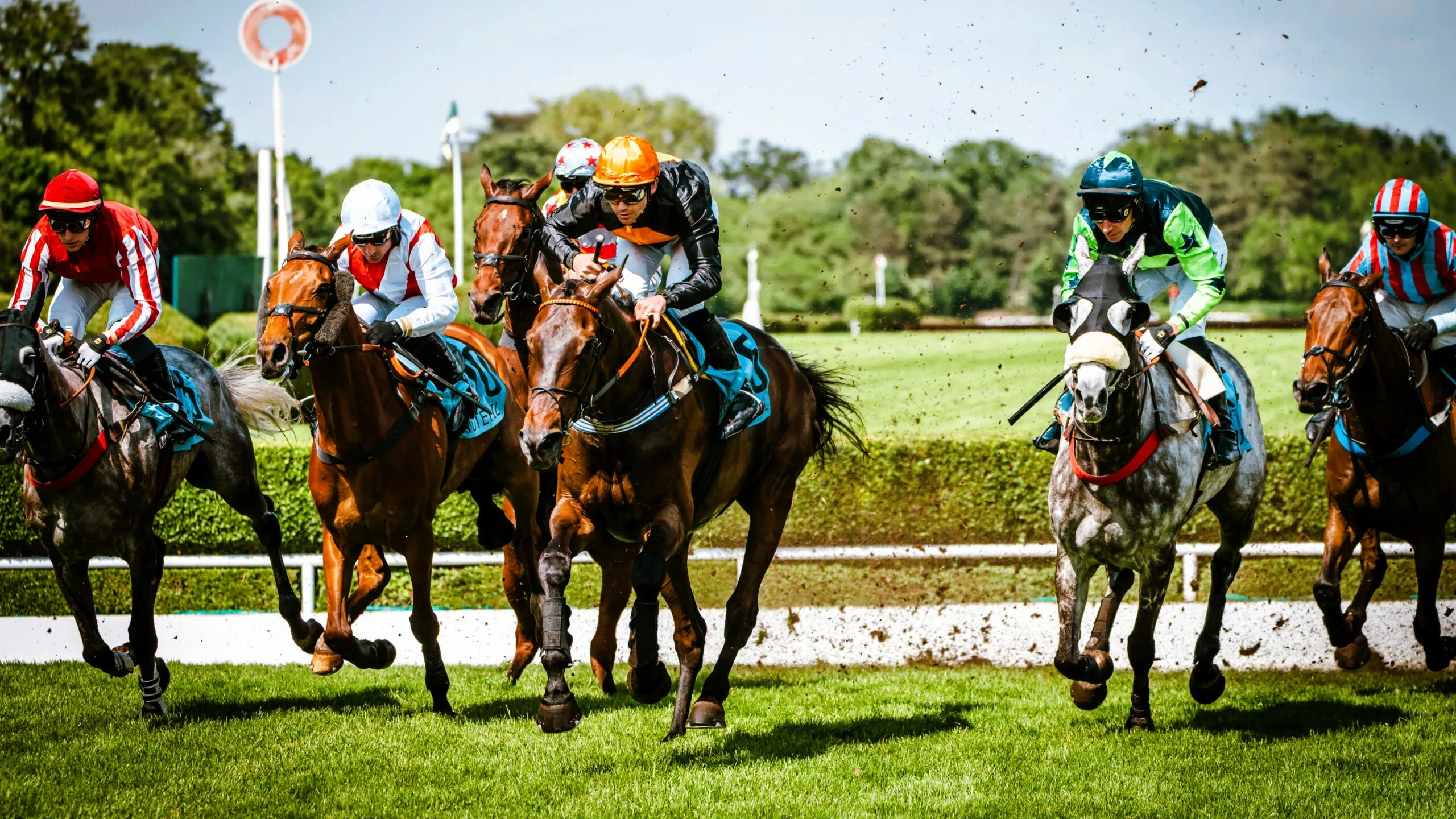 Pronostic Quinté du samedi 15 novembre 2025