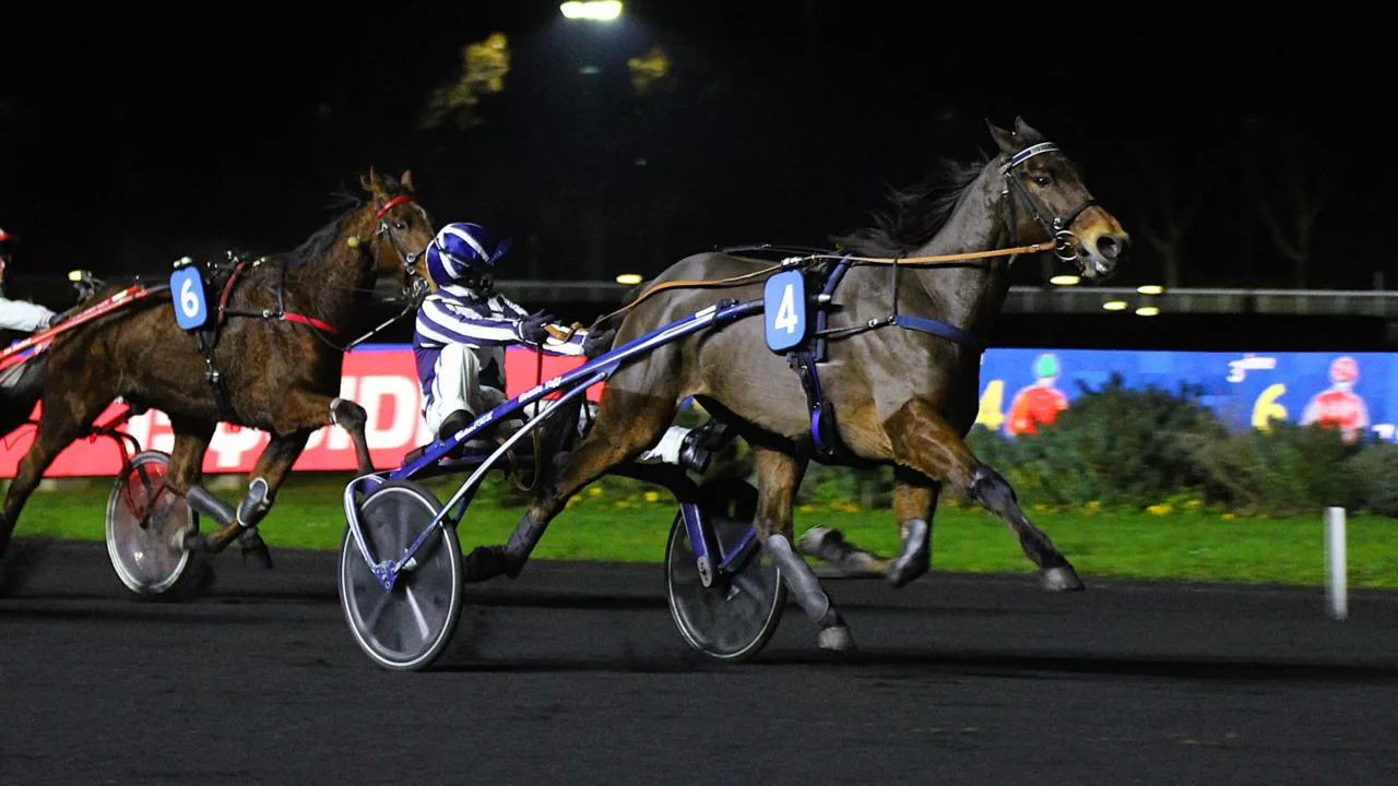 Pronostic Quinté du vendredi 12 décembre 2025