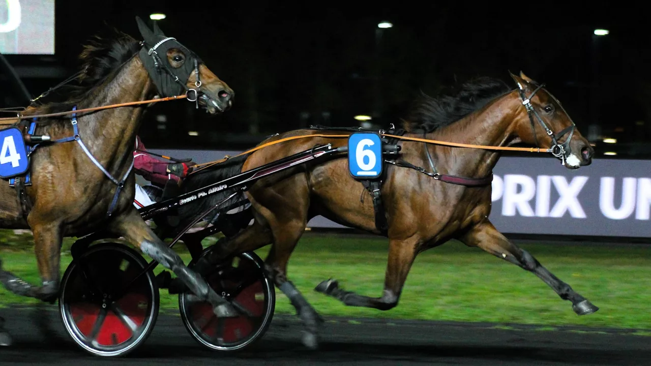 Pronostic Quinté du vendredi 28 novembre 2025