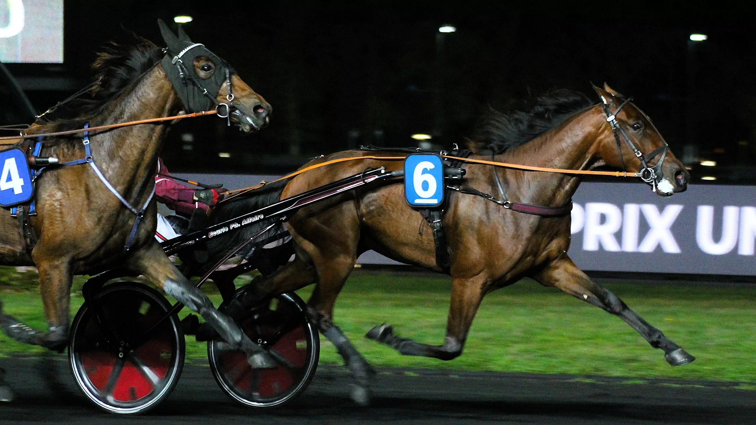 Pronostic Quinté du vendredi 28 novembre 2025