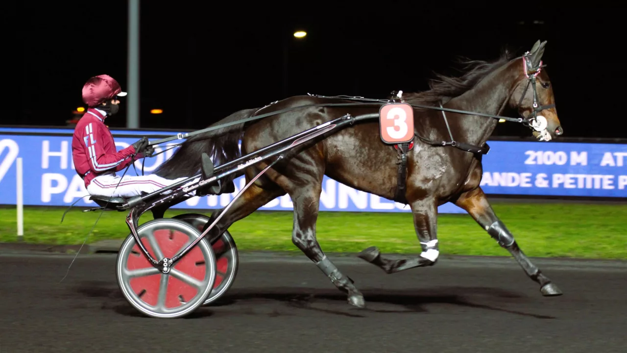 Pronostic Quinté du vendredi 5 décembre 2025