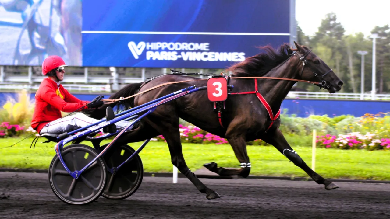 Pronostic Quinté presse du dimanche 30 novembre 2025