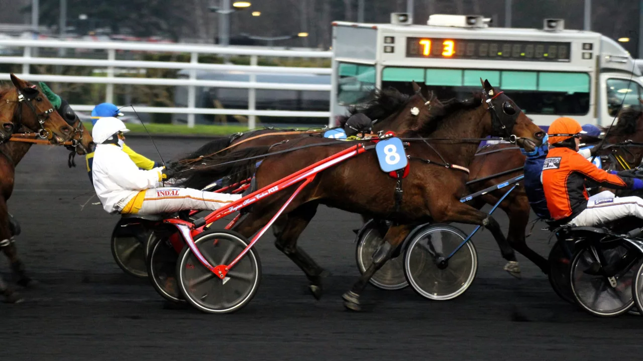 Pronostic des meilleurs experts de la presse pour le Quinté du lundi 24 novembre 2025