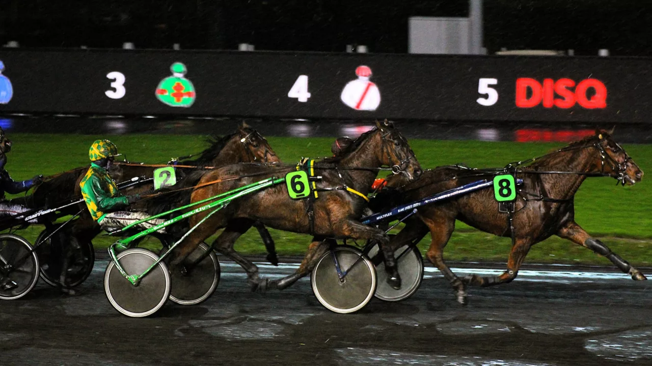 Pronostic presse PMU Quinté du vendredi 5 décembre 2025