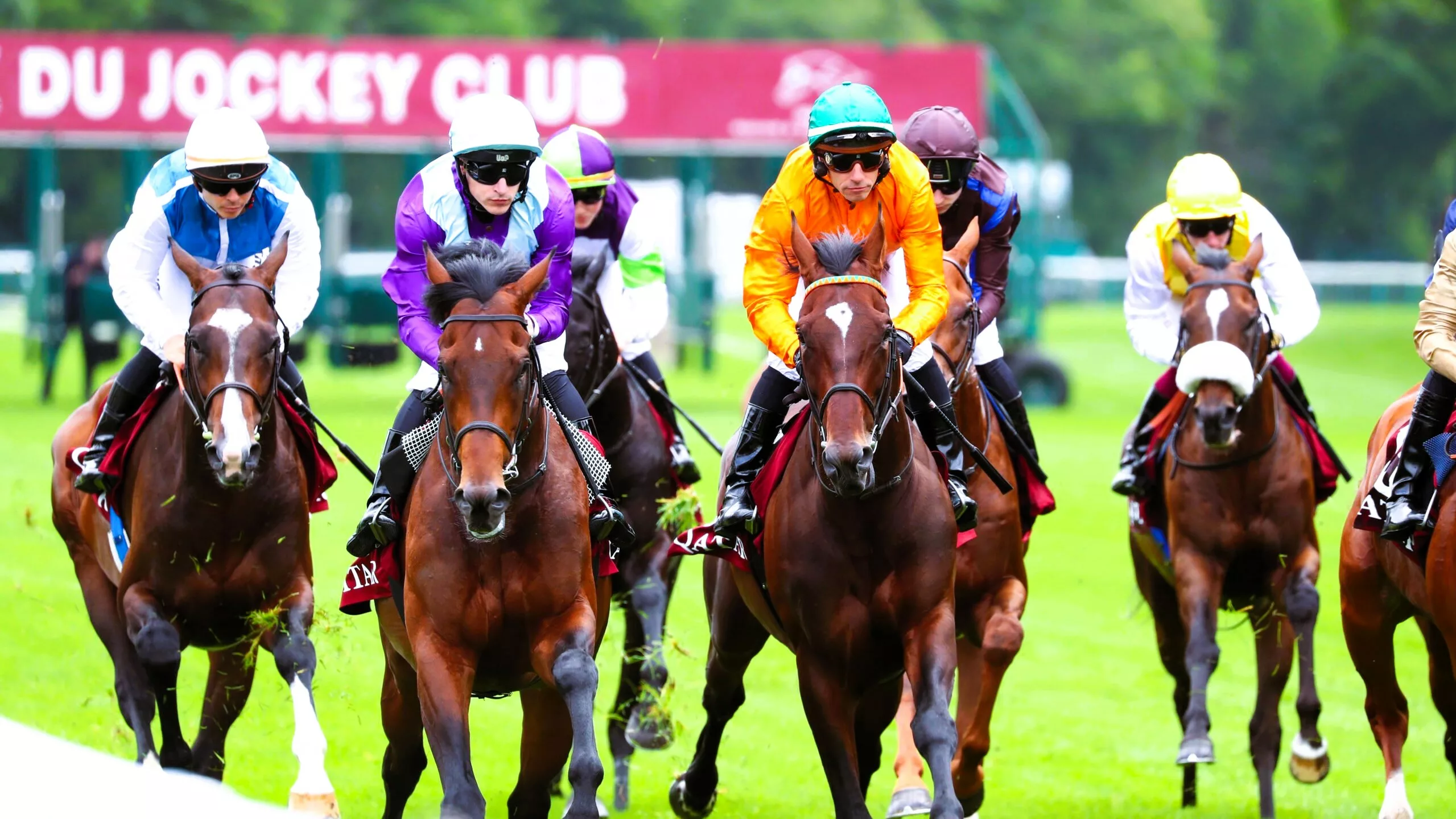 Pronostic presse PMU du dimanche 9 novembre 2025