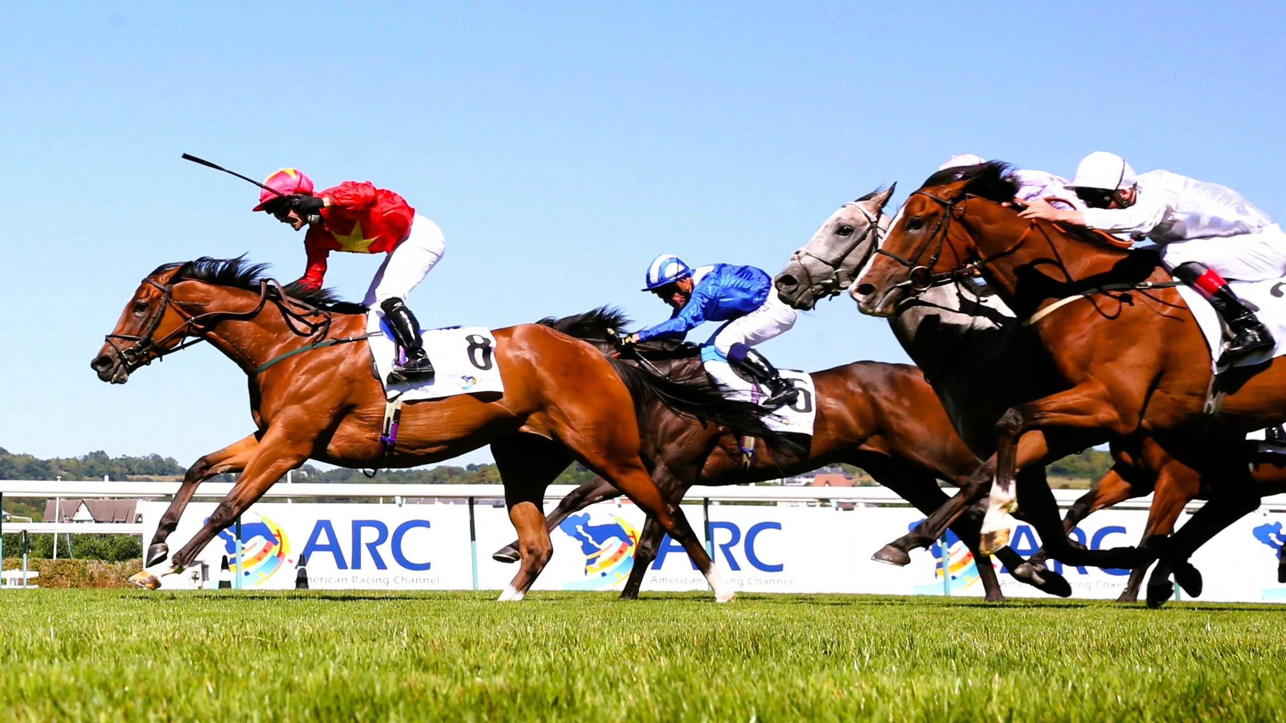 Pronostic presse PMU du mardi 25 novembre 2025