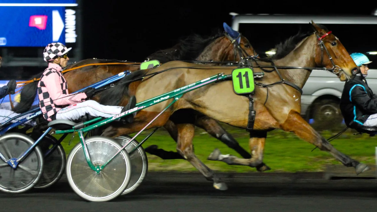 Pronostic presse PMU pour le quinté du vendredi 21 novembre 2025