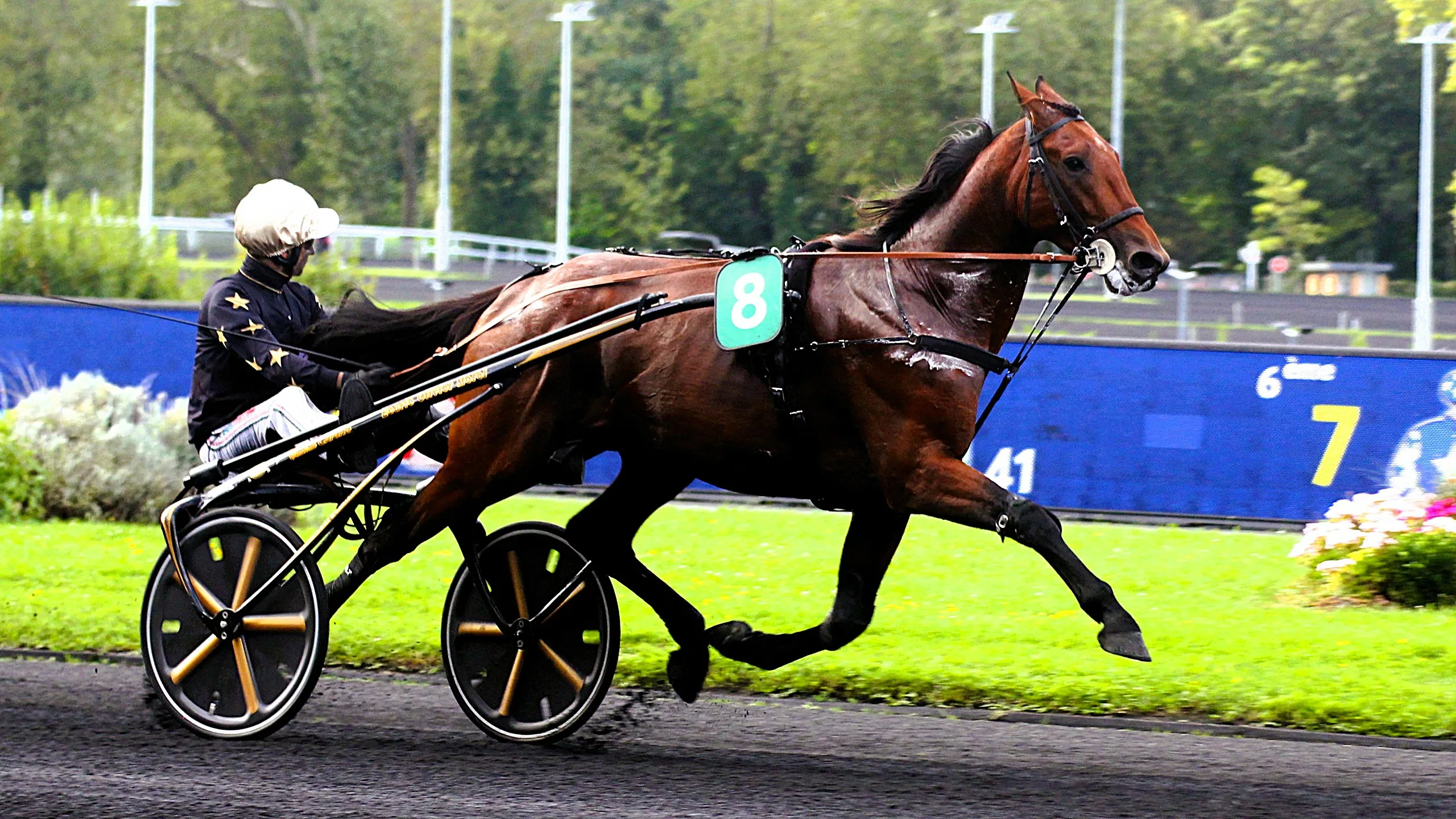 Pronostic quinté du jeudi 20 novembre 2025