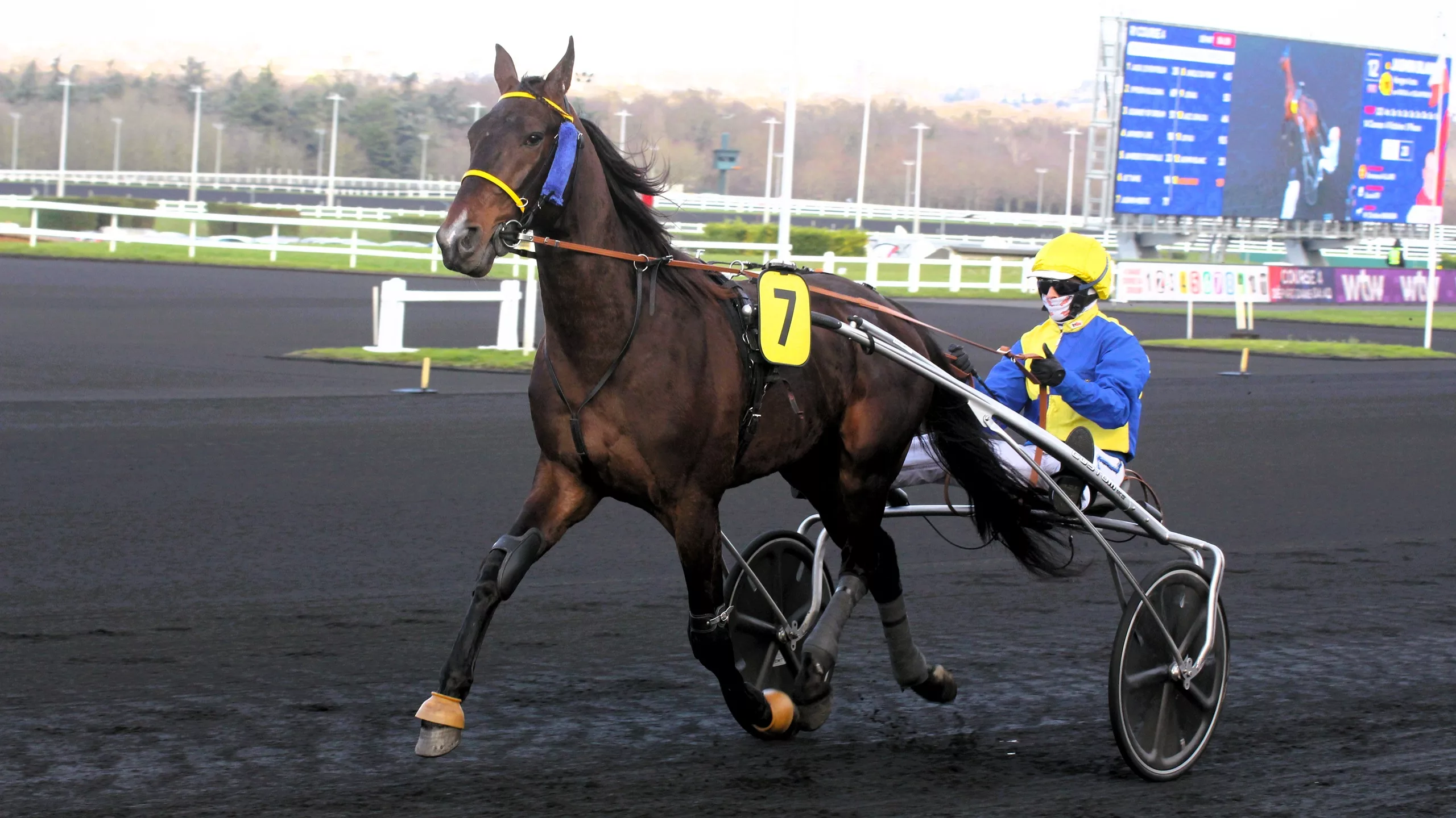 Pronostic quinté du samedi 29 novembre 2025 à Vincennes