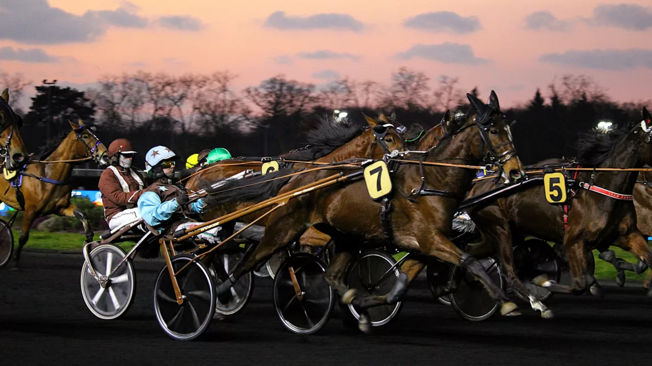 Pronostic quinté du vendredi 7 novembre 2025 à Vincennes
