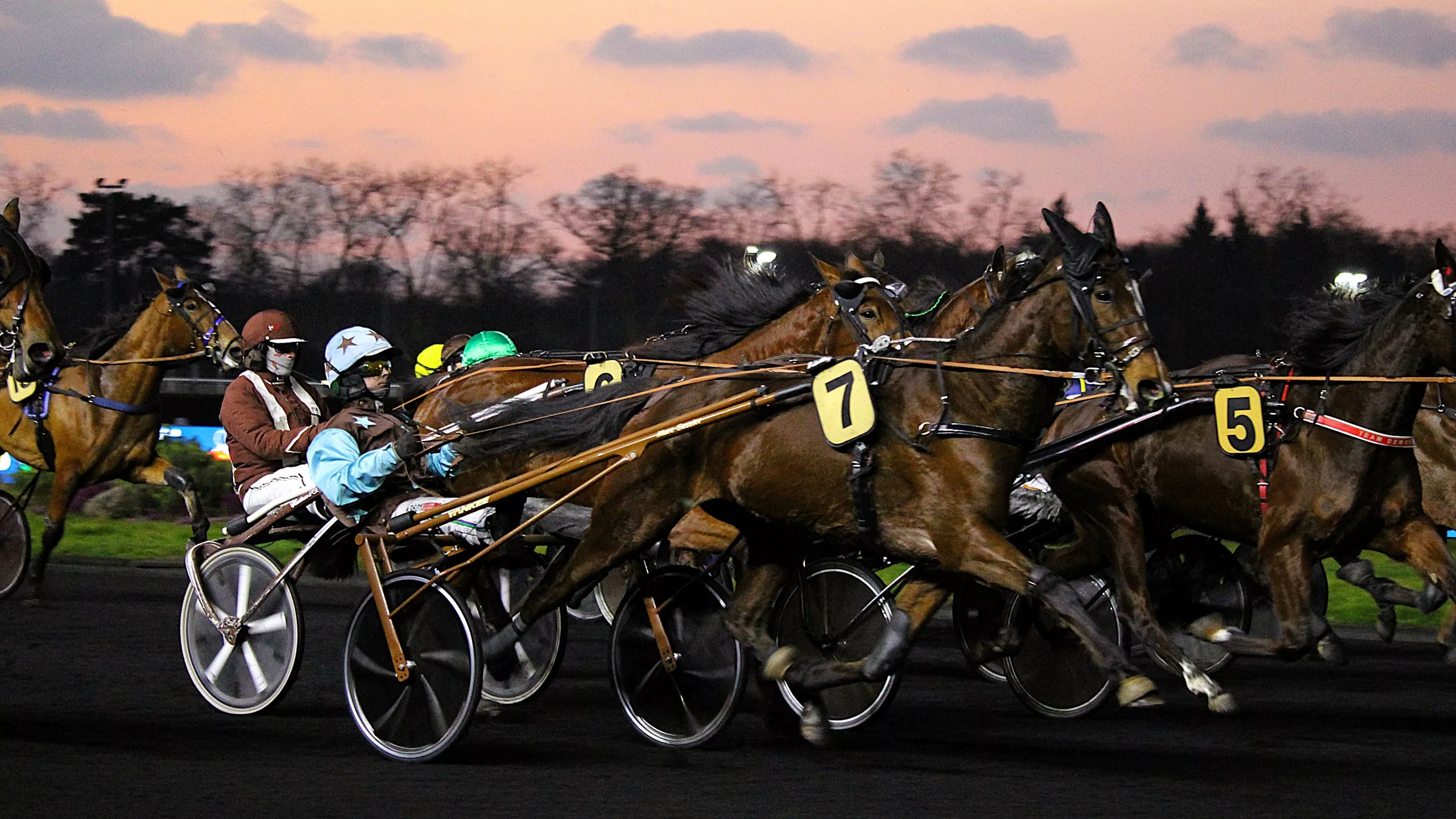 Pronostic quinté du vendredi 7 novembre 2025 à Vincennes