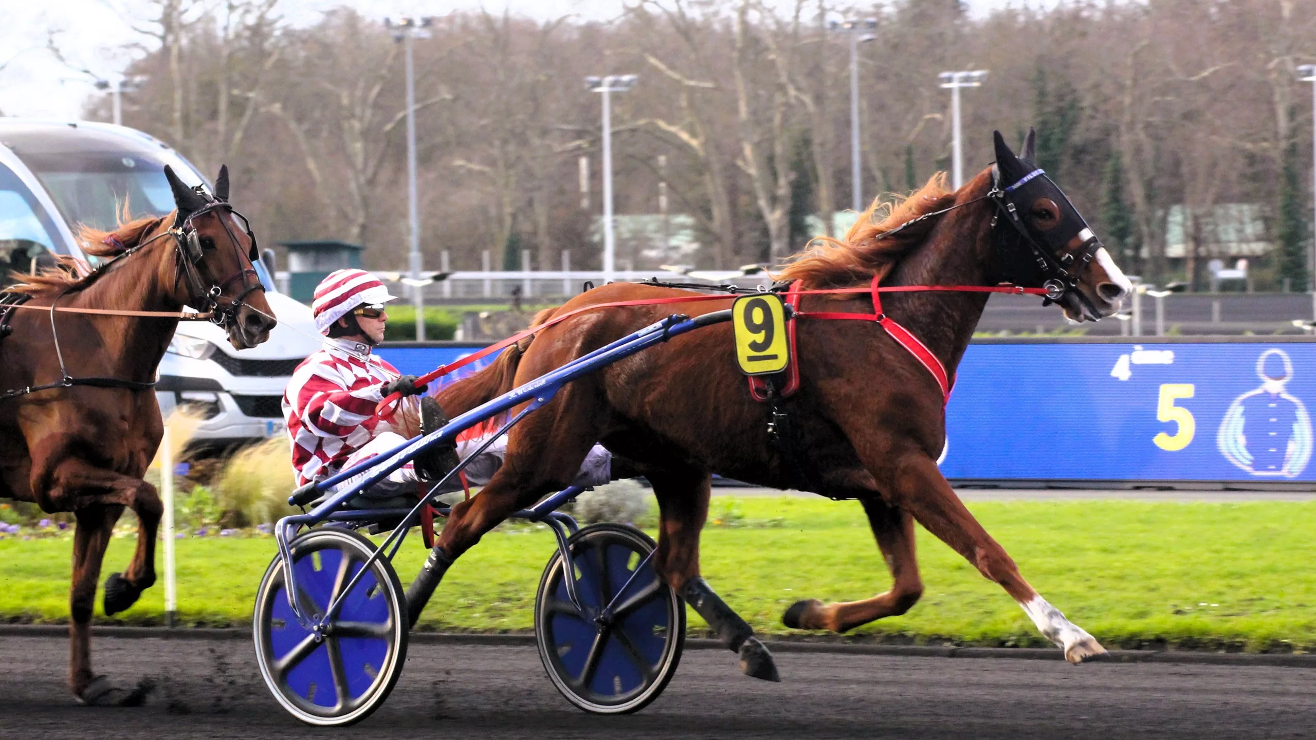 Pronostics Presse PMU Quinté du mercredi 5 novembre 2025