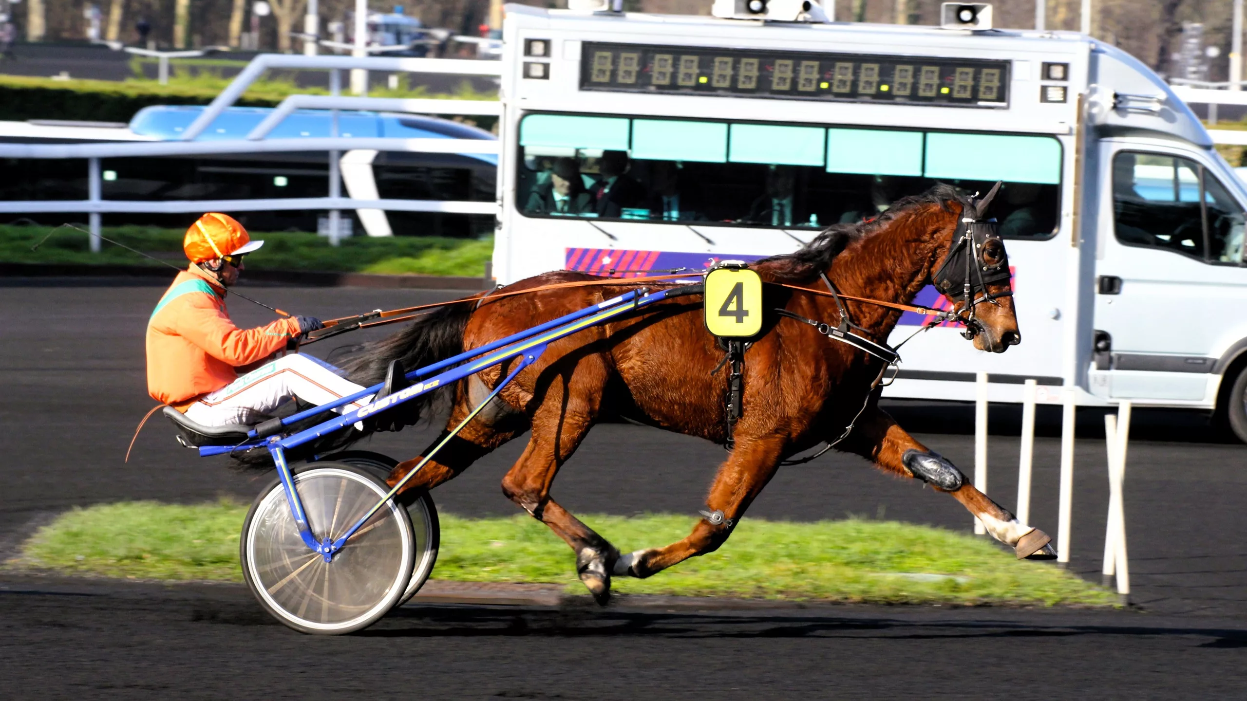 Pronostics Quinté presse PMU du samedi 22 novembre 2025