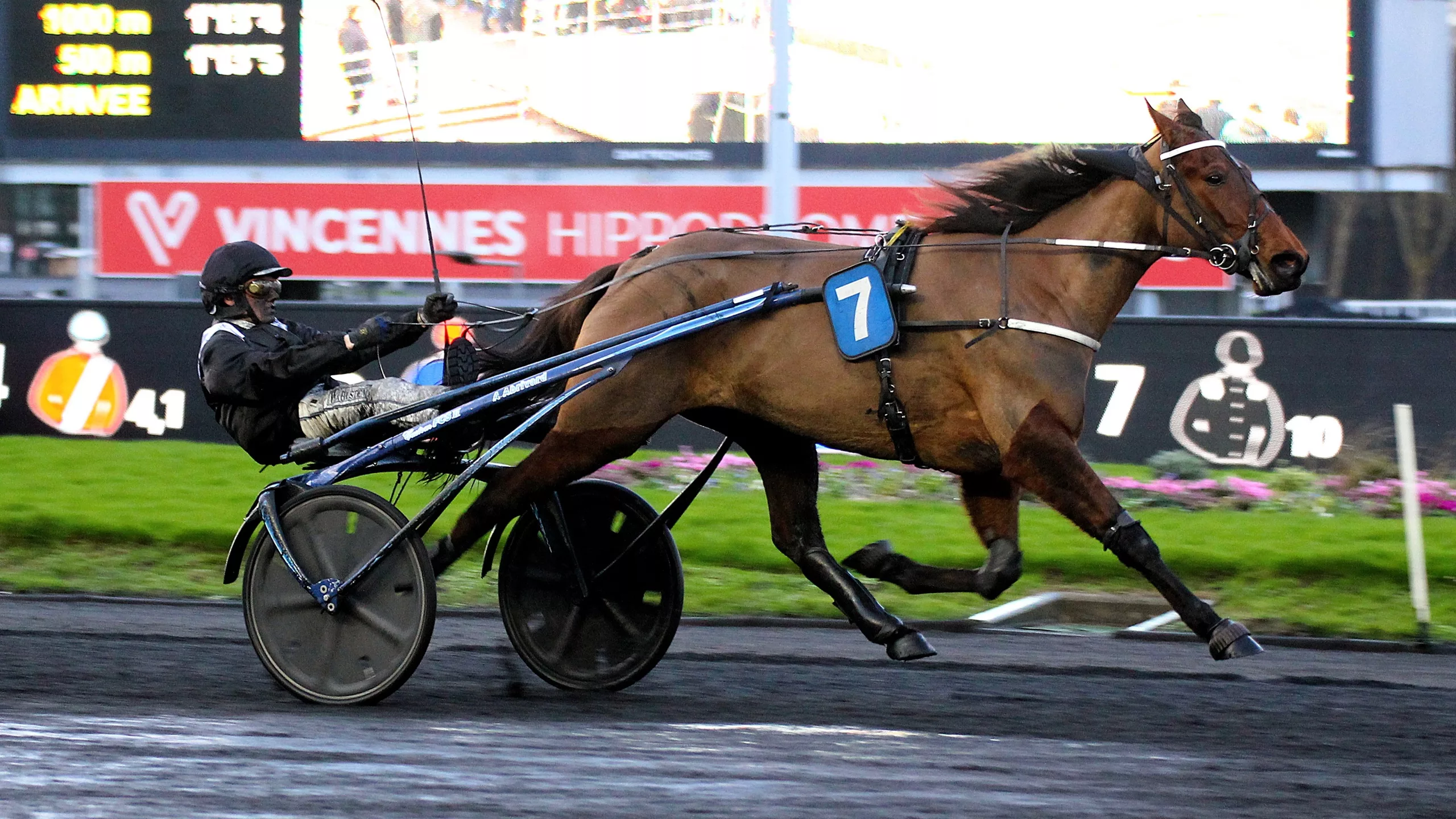 Pronostics de la presse PMU Quinté du samedi 6 décembre 2025