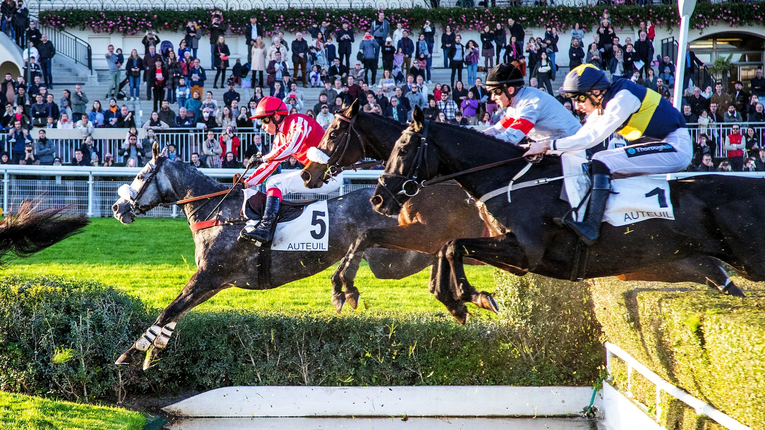 Pronostics de la presse PMU du Quinté du dimanche 23 novembre 2025