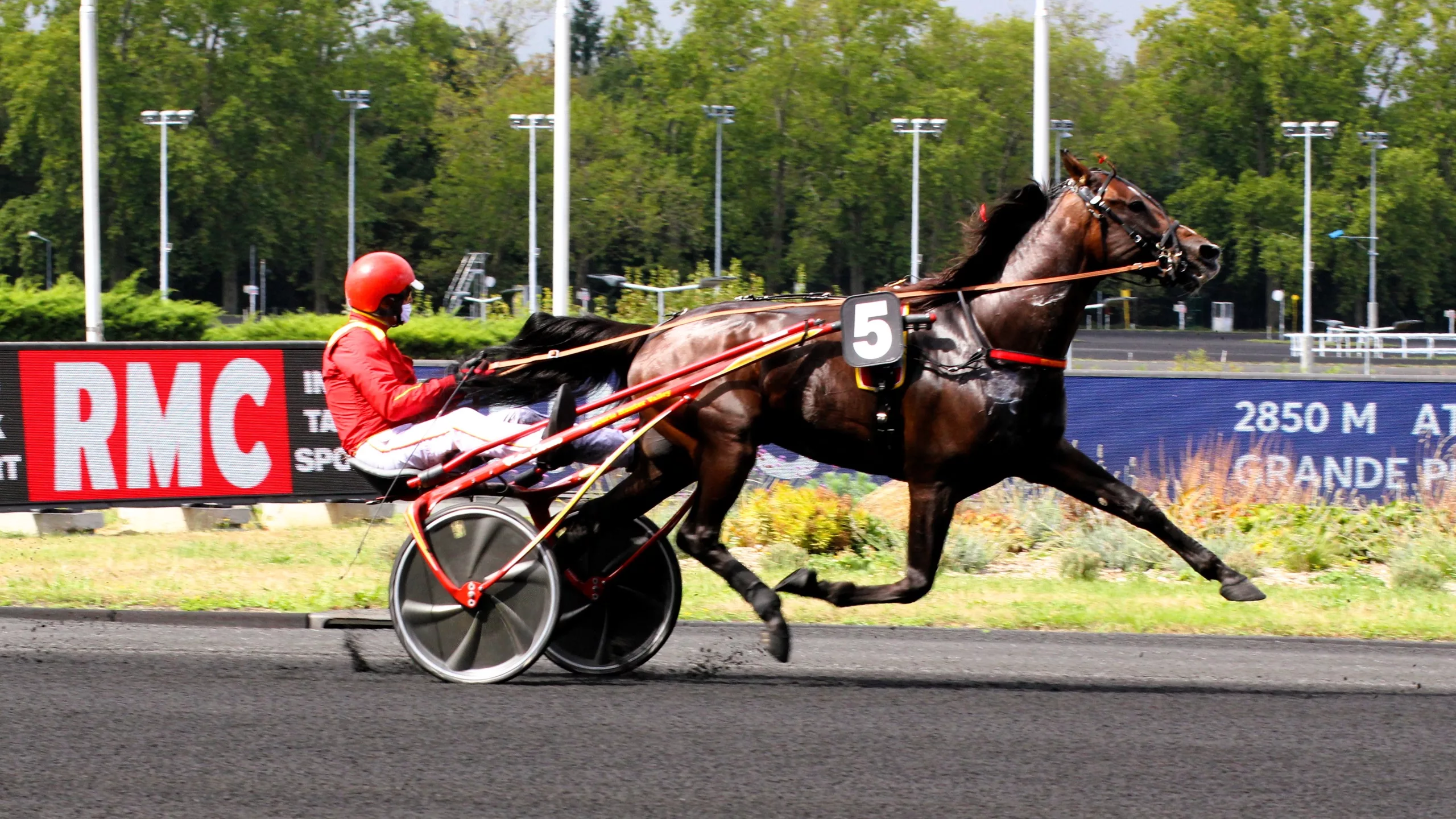 Pronostics de la presse PMU du Quinté du mercredi 10 décembre 2025
