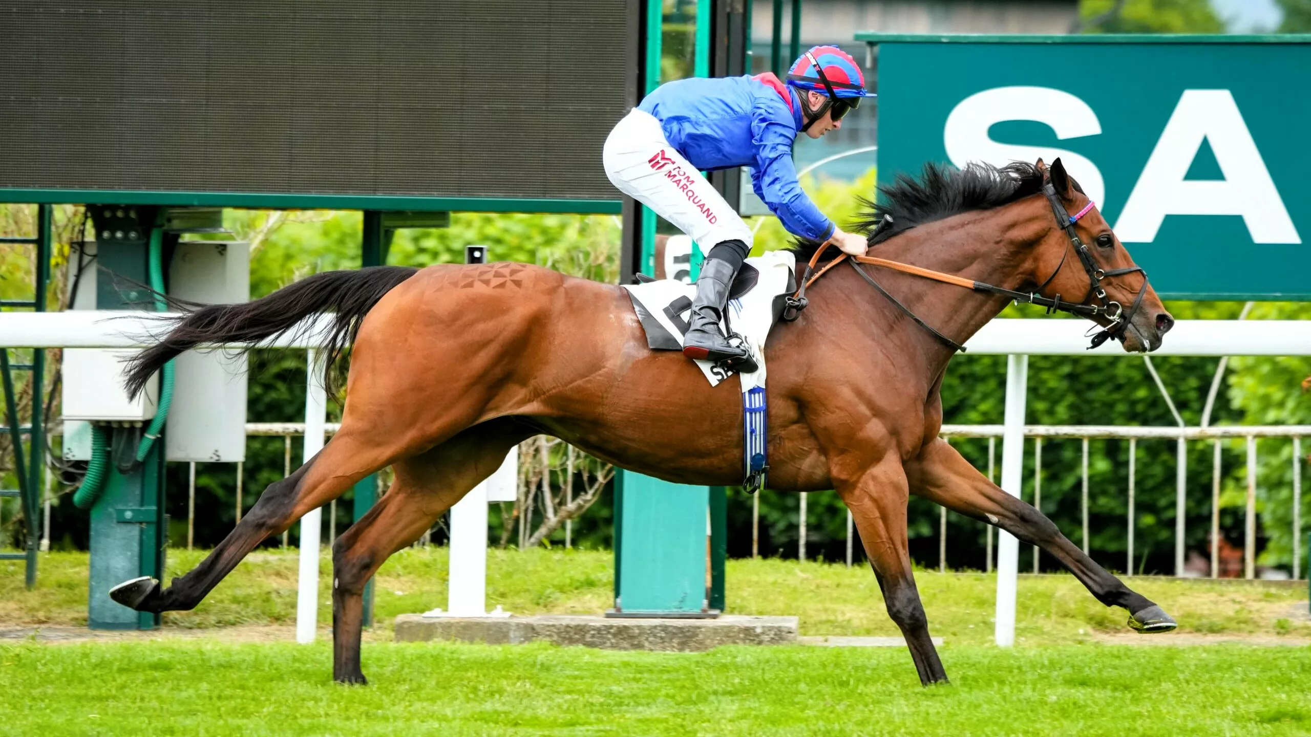 Pronostics de la presse PMU du jeudi 13 novembre 2025