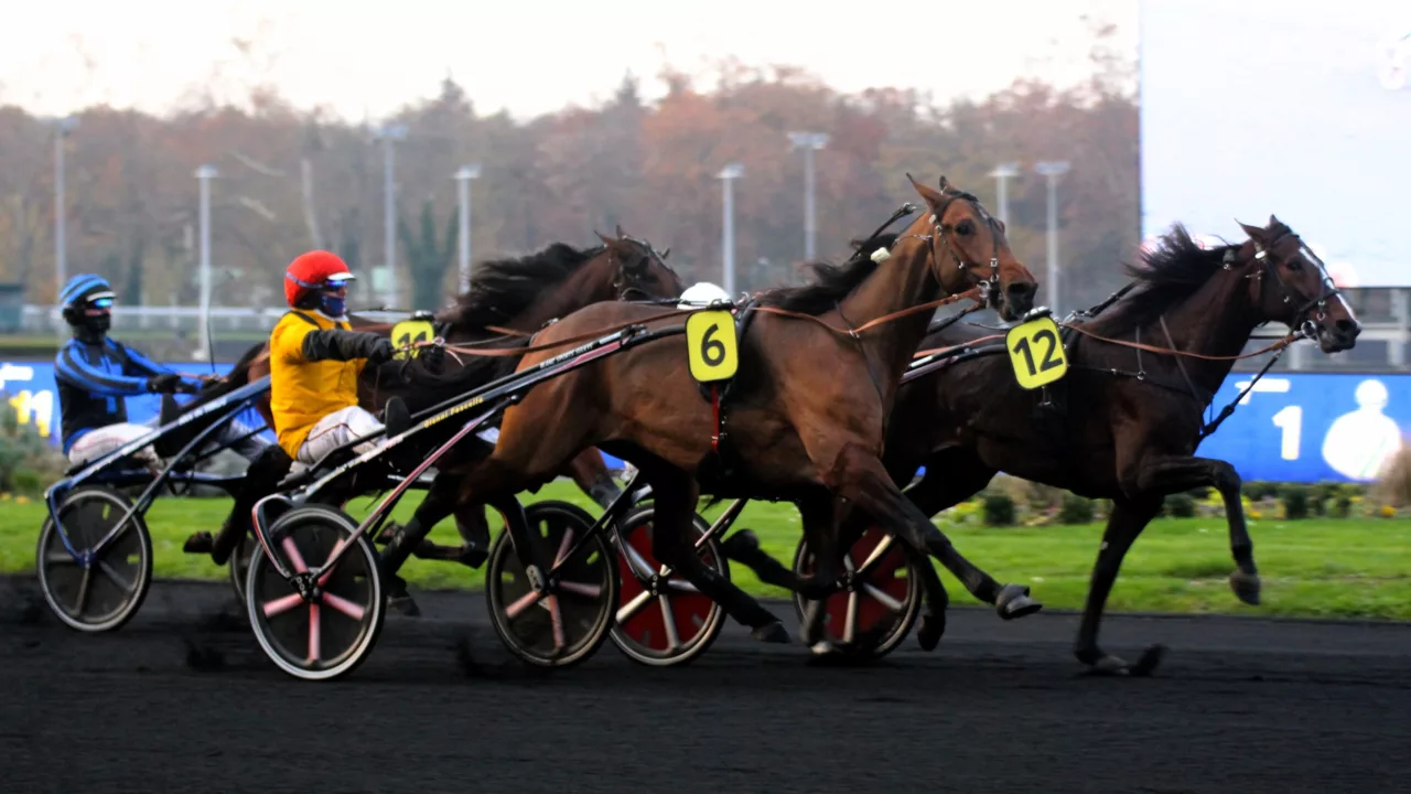 Pronostics de la presse pour le Quinté du lundi 17 novembre 2025