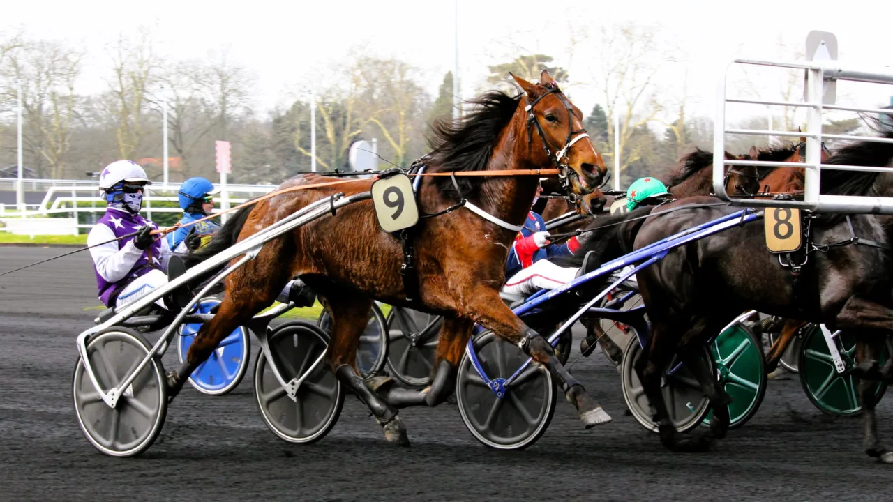 Pronostics presse PMU Quinté du lundi 1er décembre 2025