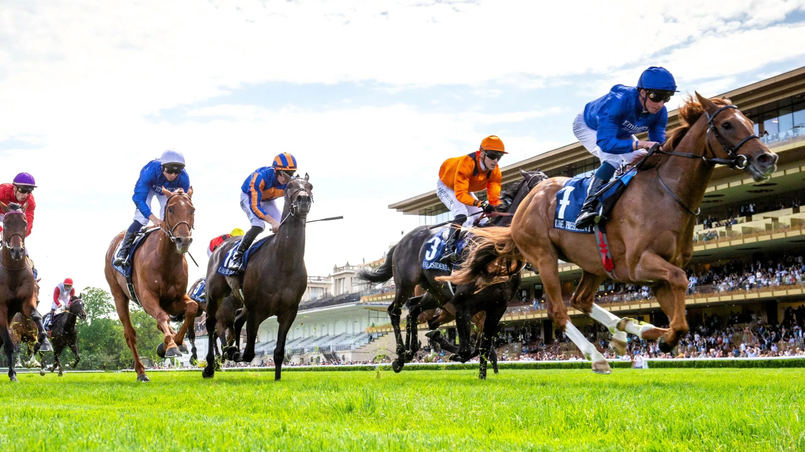 Pronostics presse PMU Quinté du mardi 9 décembre 2025