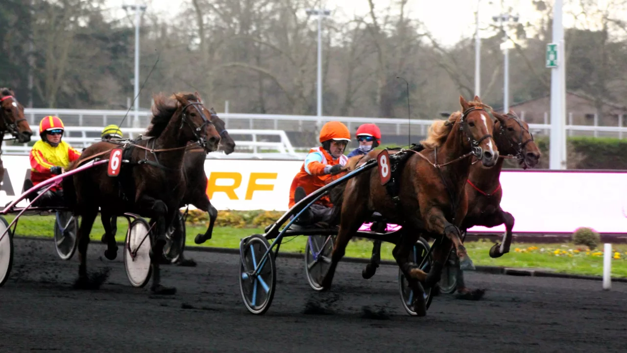 Pronostics presse PMU du jeudi 6 novembre 2025