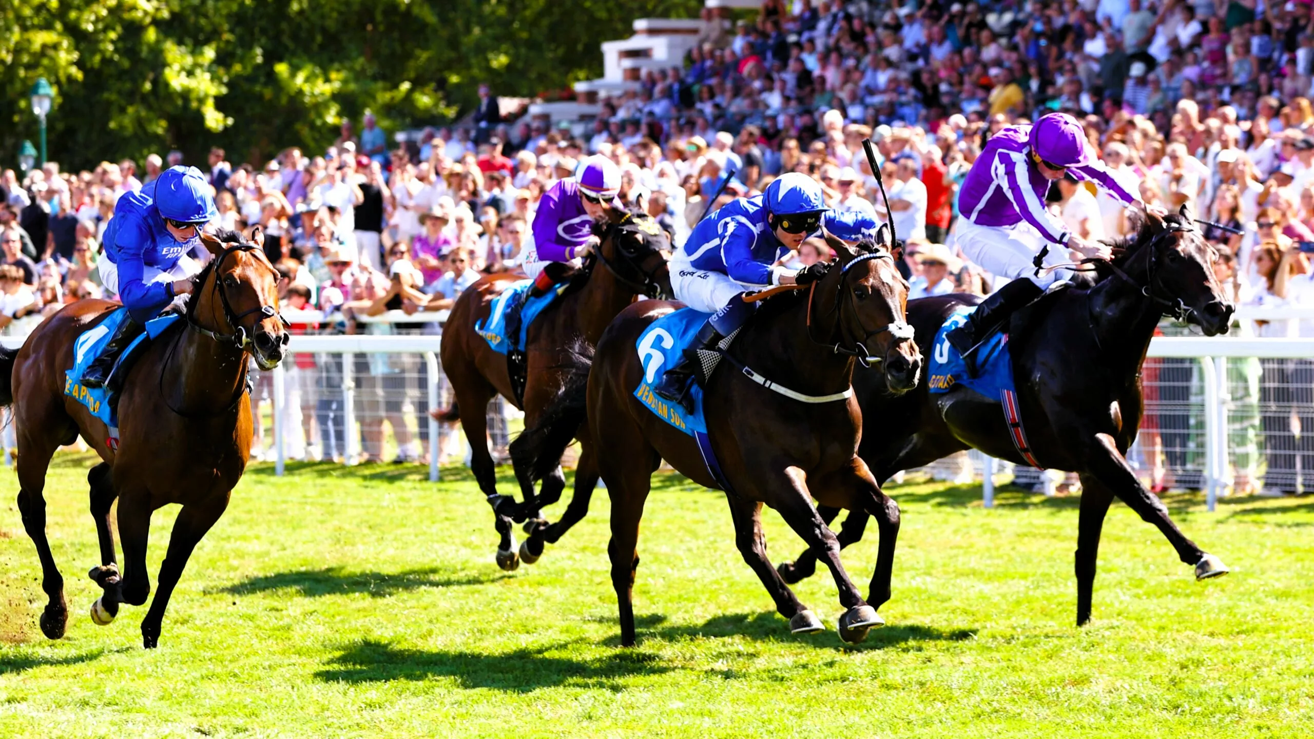 Pronostics presse PMU du mardi 11 novembre 2025