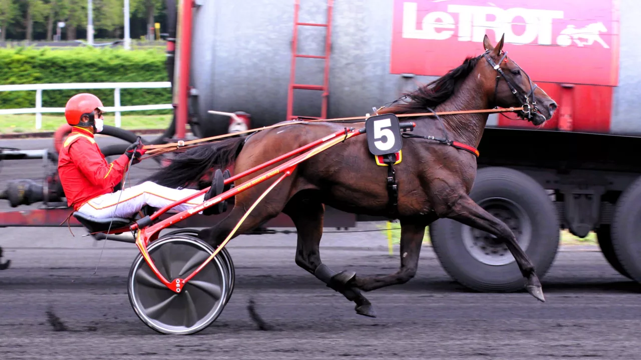 Pronostics presse PMU pour le Quinté du jeudi 27 novembre 2025