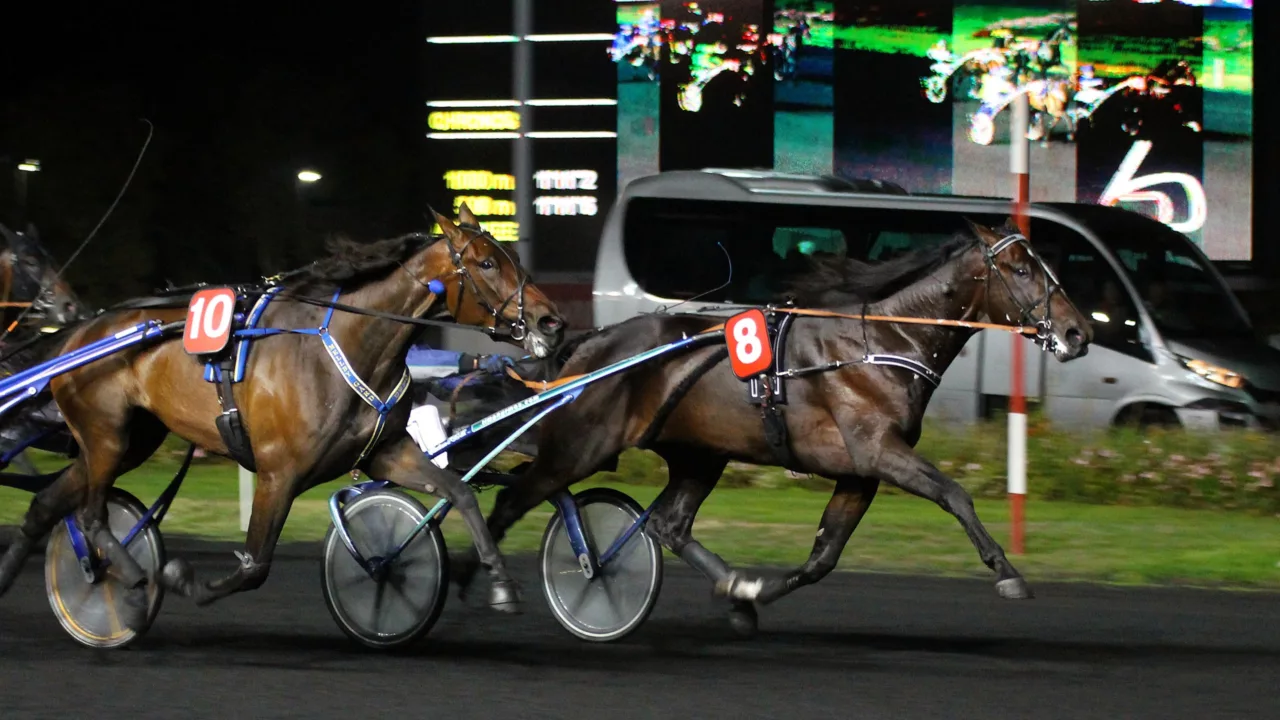 Pronostics presse PMU pour le Quinté du vendredi 28 novembre 2025
