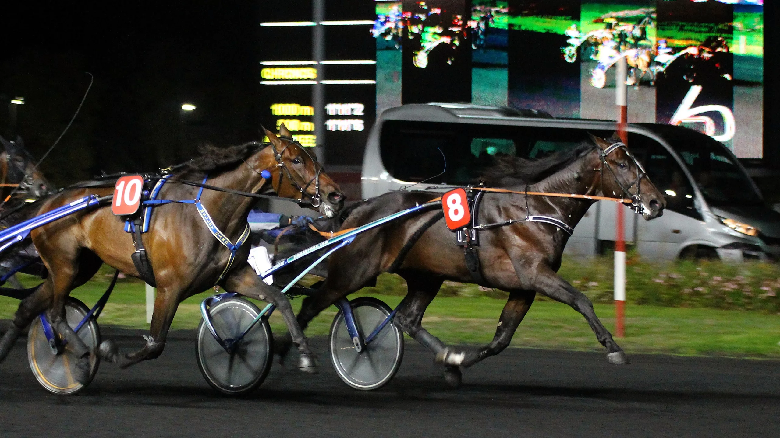 Pronostics presse PMU pour le Quinté du vendredi 28 novembre 2025