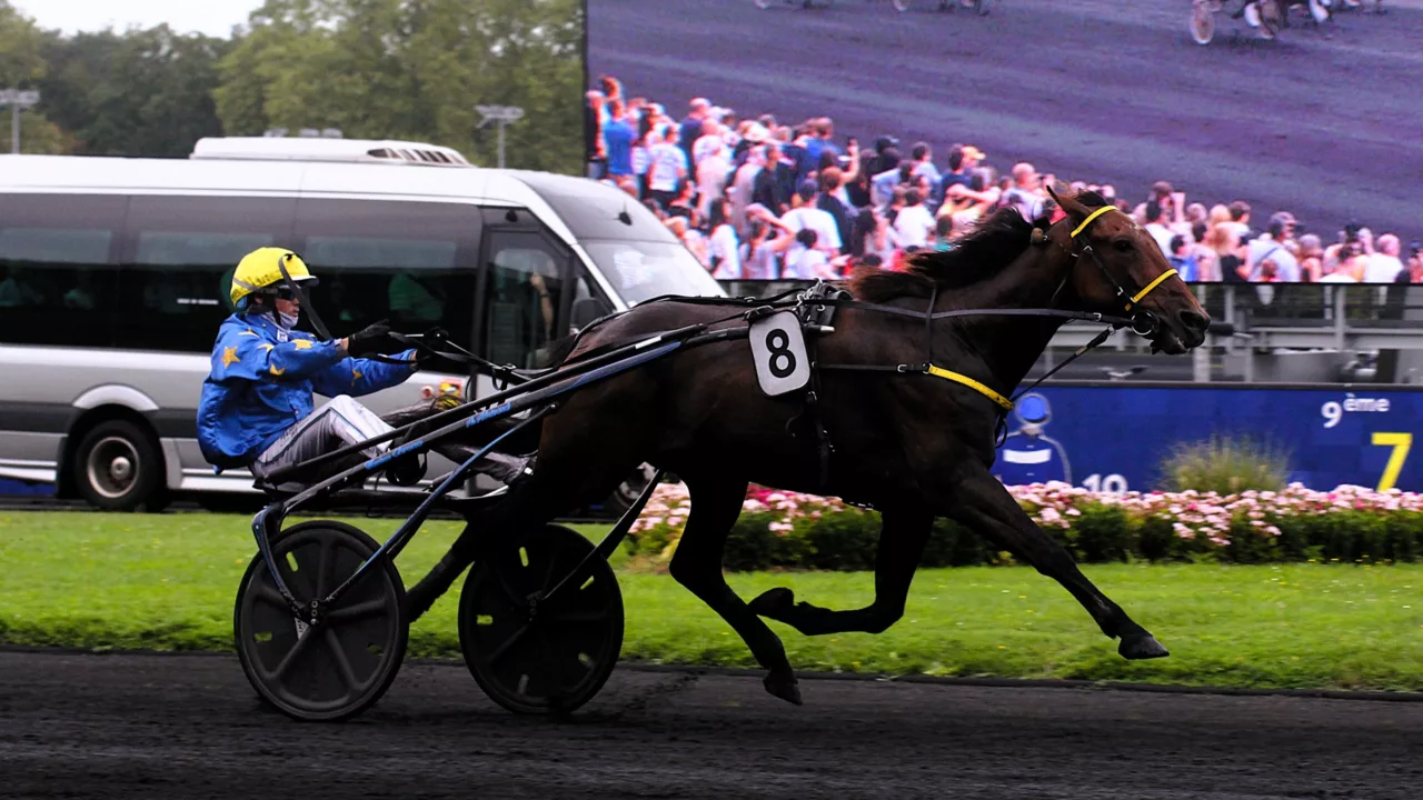 Pronostics presse pour le Quinté du mercredi 19 novembre 2025