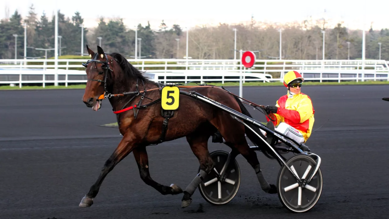 Pronostics presse pour le quinté du samedi 29 novembre 2025