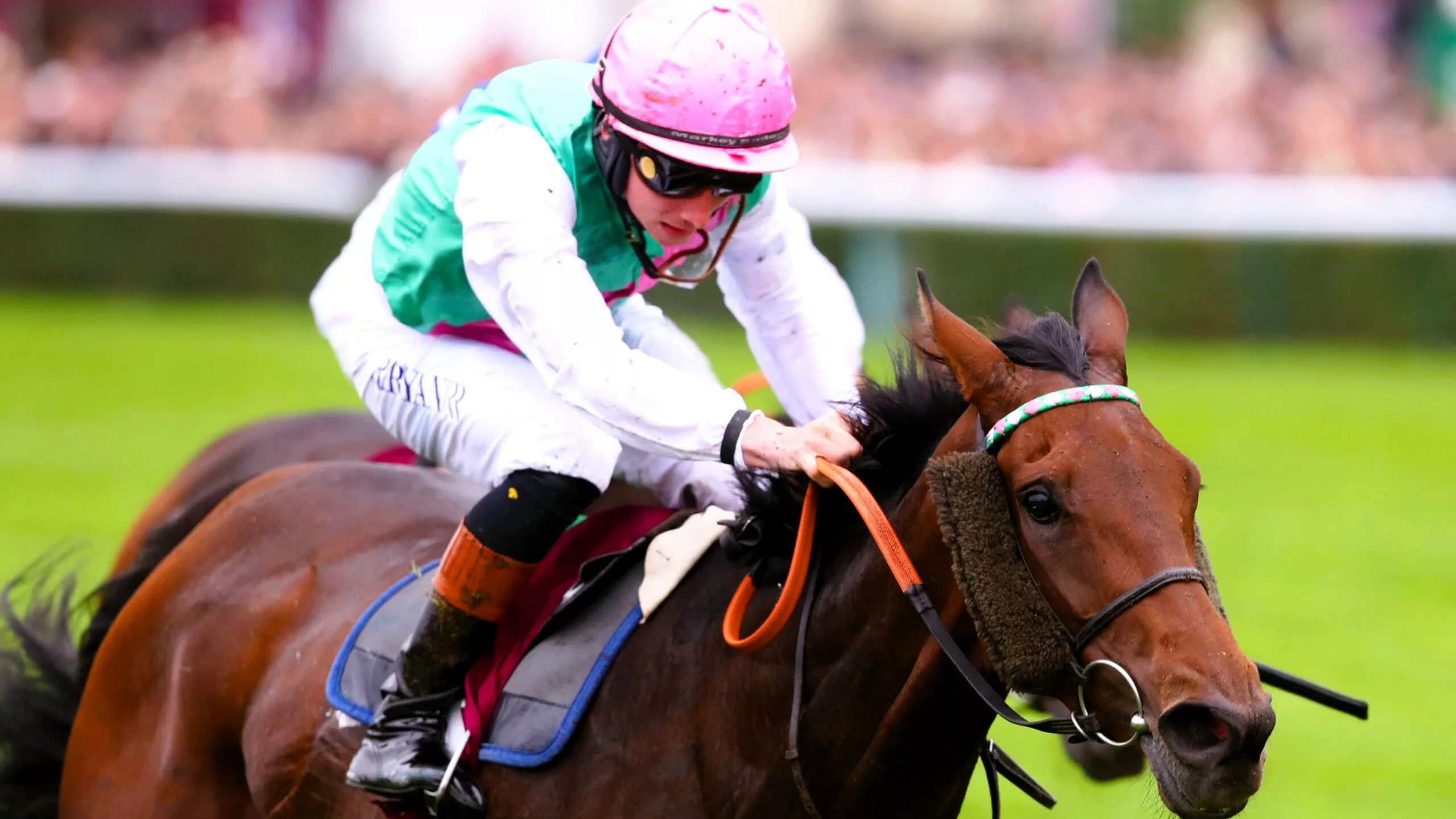 Pronostics quinté de la presse PMU Quinté du mardi 18 novembre 2025