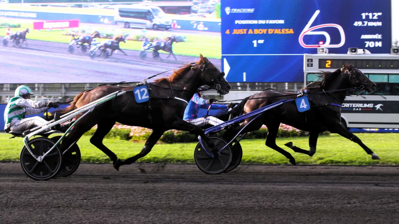 Pronostics quinté presse PMU du jeudi 20 novembre 2025