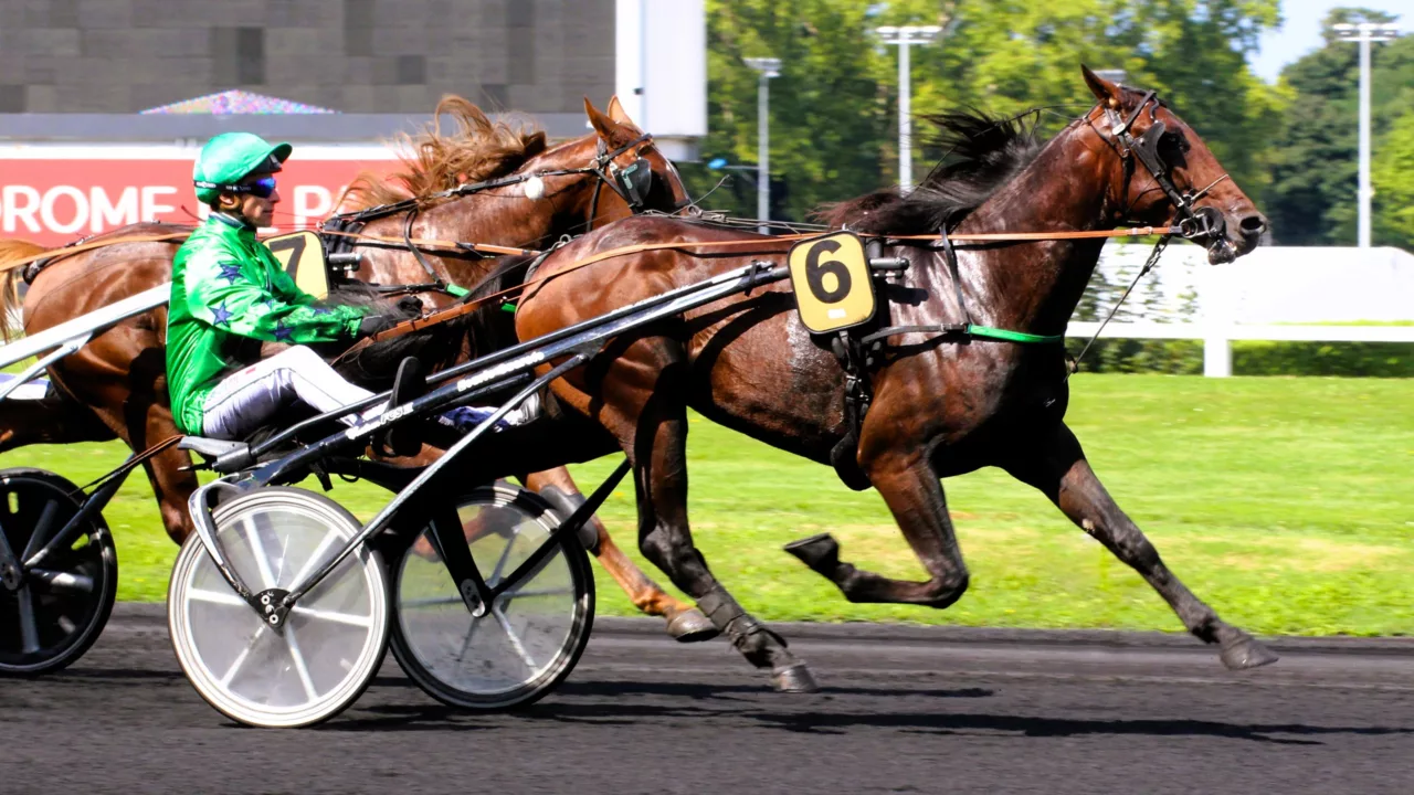 Résultat Quinté du lundi 1er décembre 2025