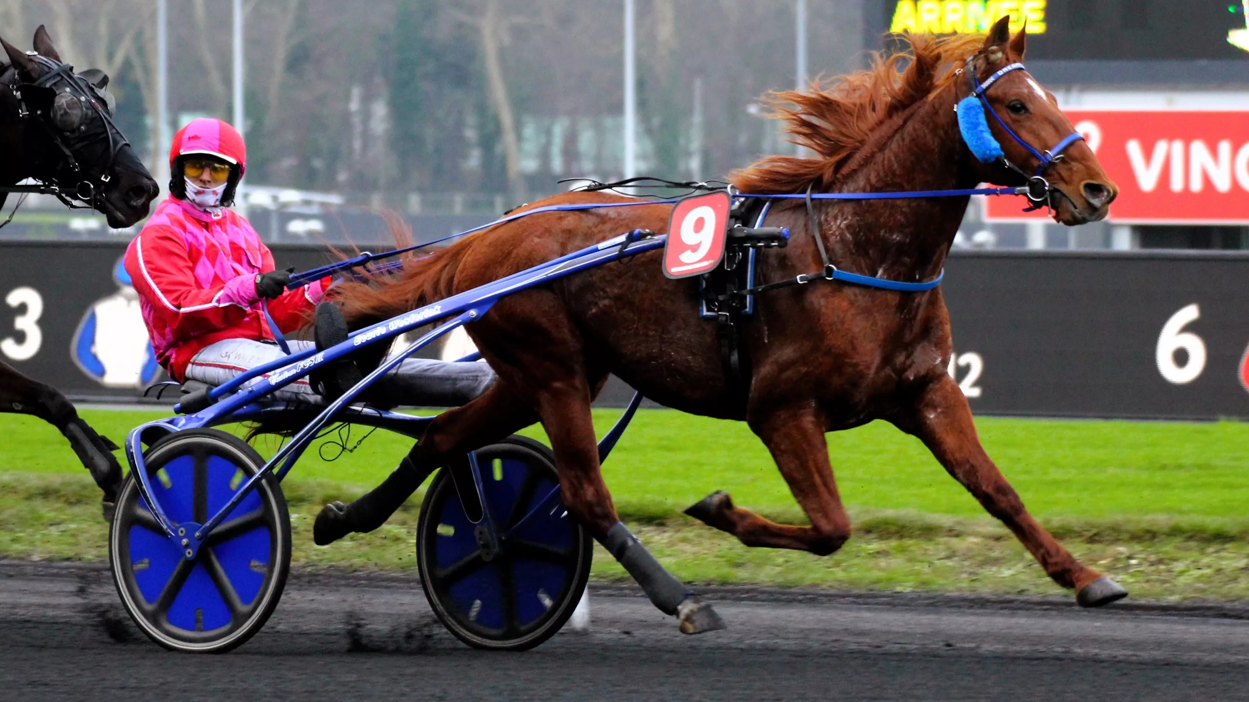 Résultat Quinté du mercredi 3 décembre 2025