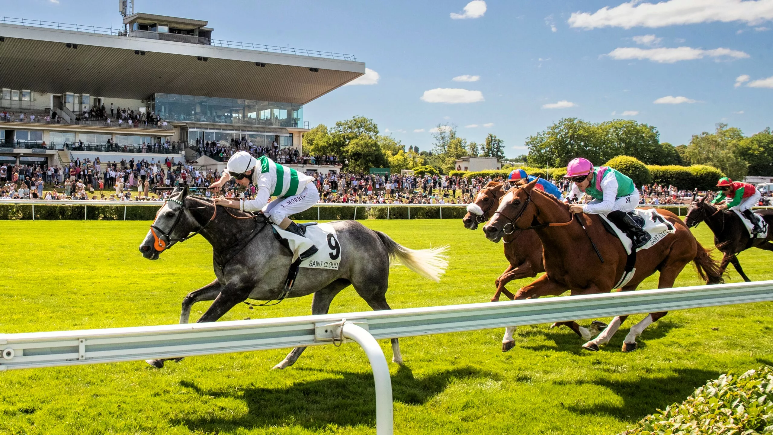 Résultat quinte du dimanche 9 novembre 2025