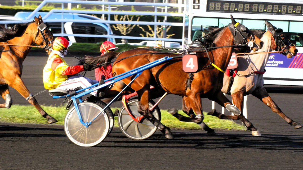Arrivée du Quinté du dimanche 14 décembre 2025