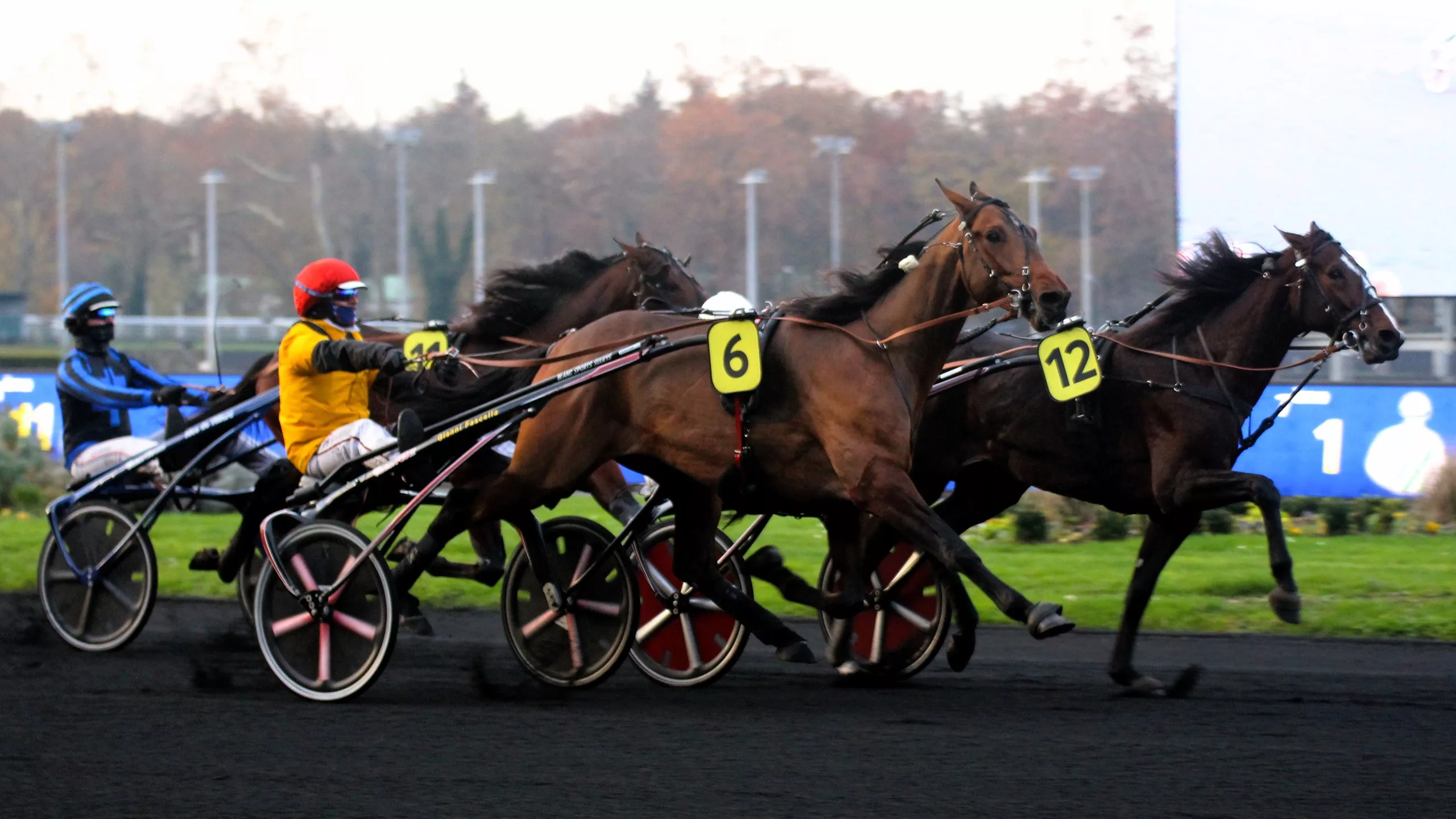 Arrivée du Quinté du dimanche 21 décembre 2025