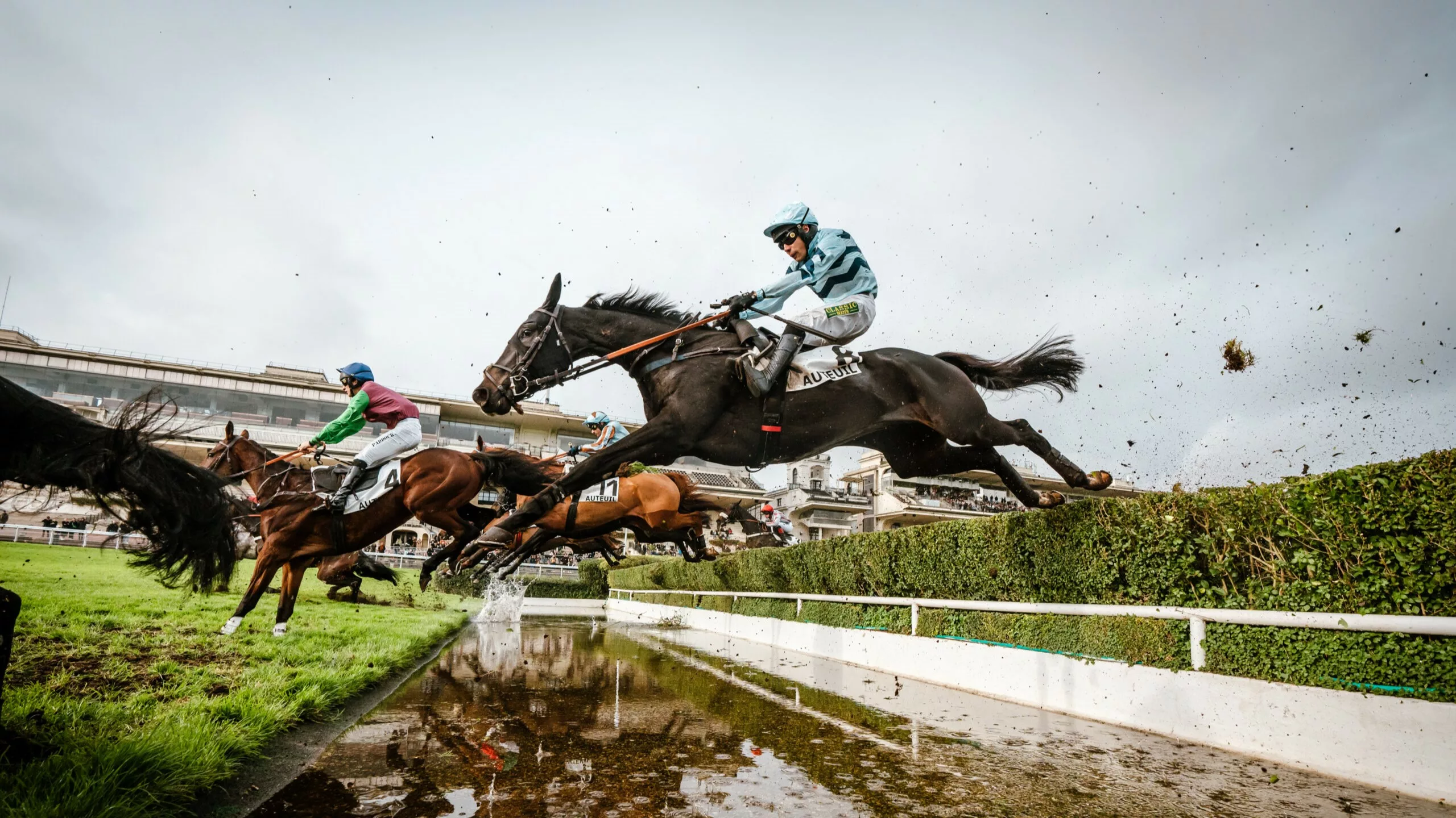Arrivée du Quinté du mardi 16 décembre 2025