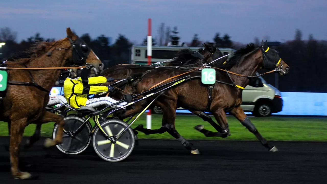 Arrivée du Quinté du vendredi 12 décembre 2025