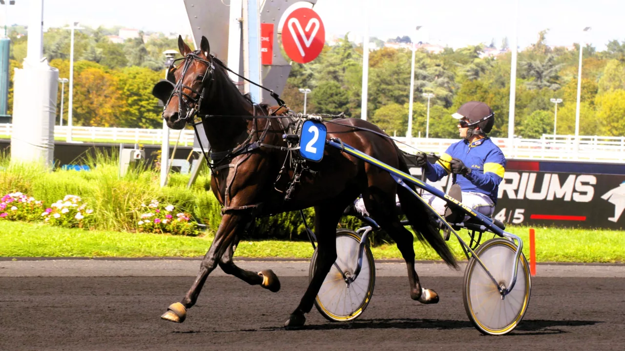 Bilan et résultat cheval du jour décembre 2025