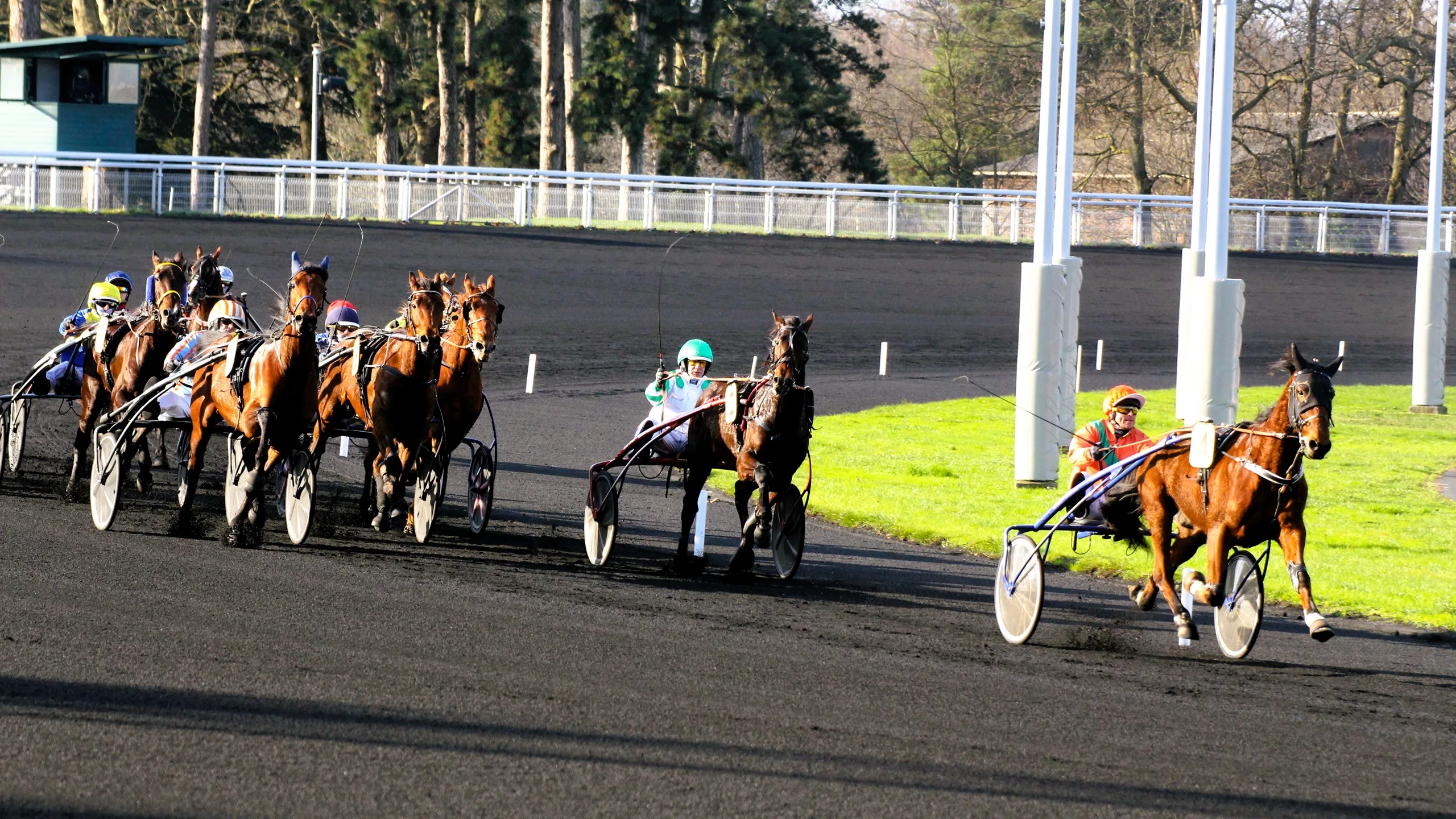 Pronostic Quinté dimanche 14 décembre 2025