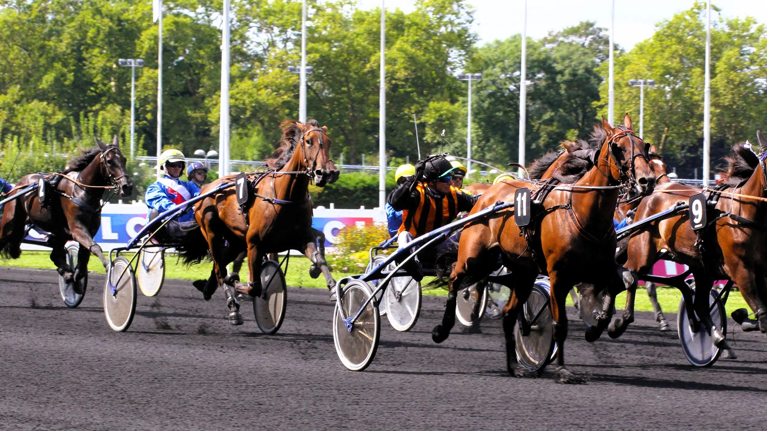 Pronostic Quinté du dimanche 21 décembre 2025