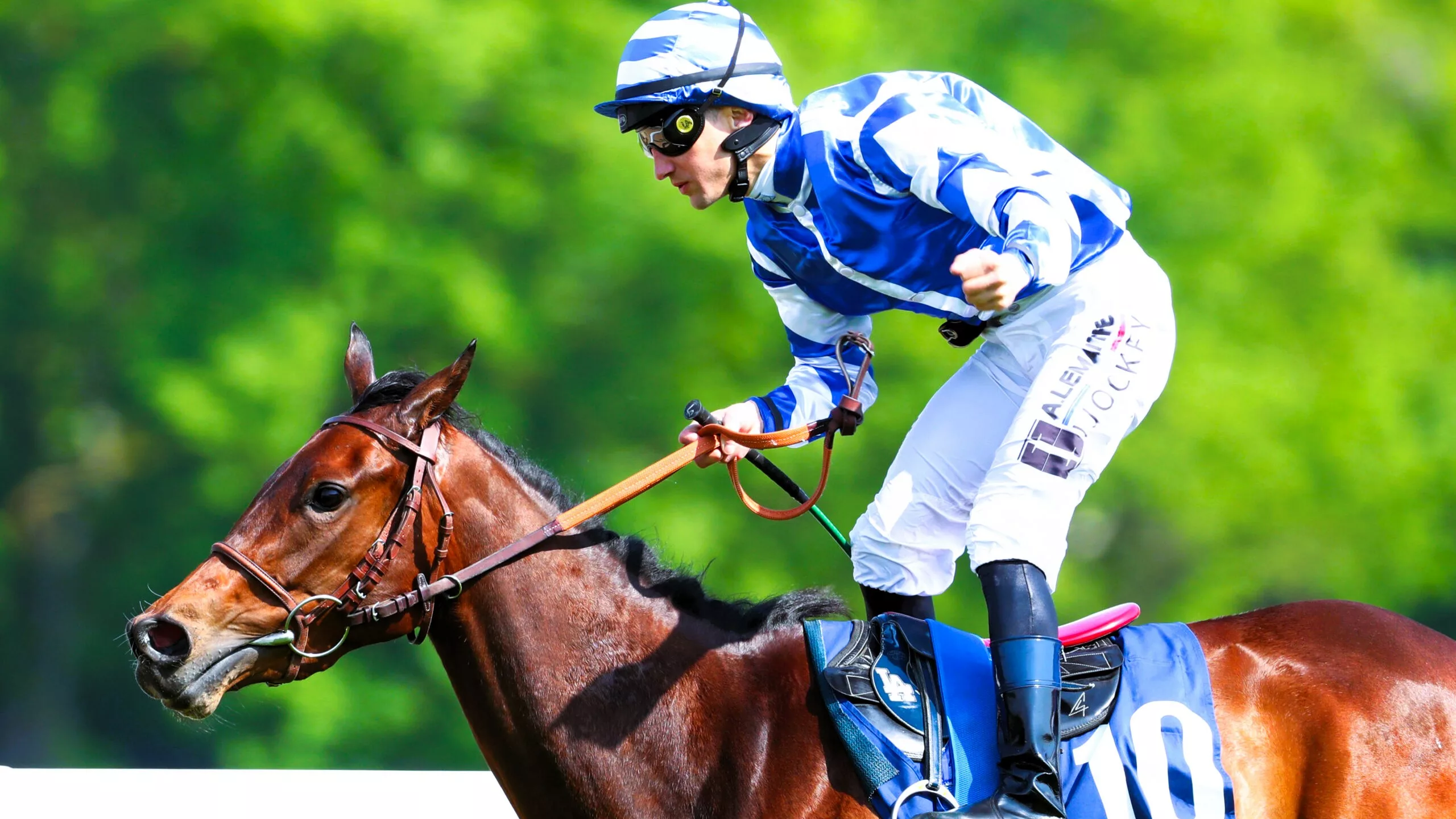 Pronostic Quinté du jeudi 18 décembre 2025