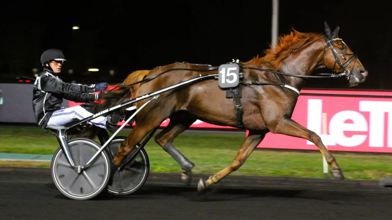 Pronostic presse PMU Quinté du vendredi 12 décembre 2025