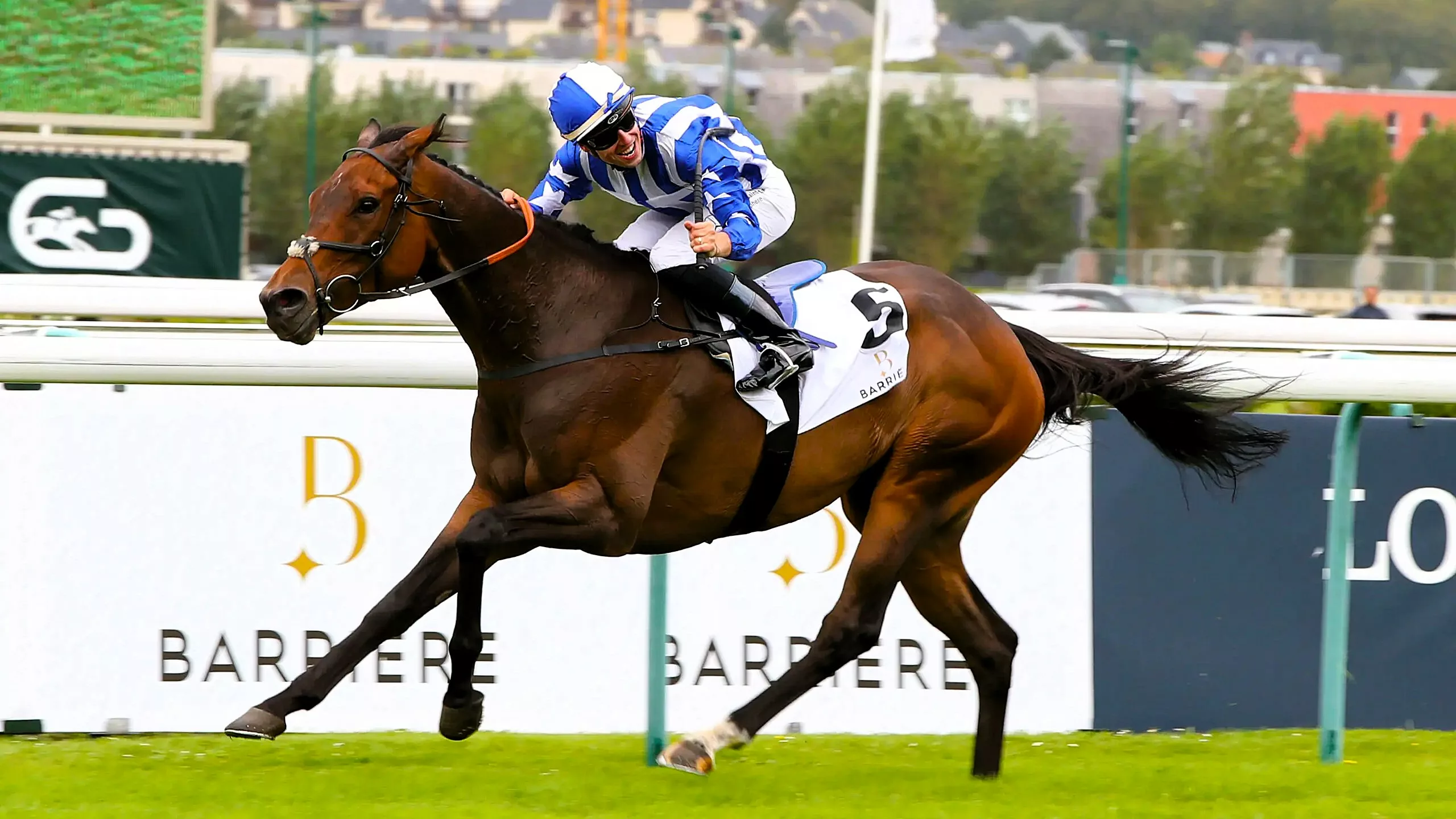 Pronostic presse Quinté du jeudi 18 décembre 2025